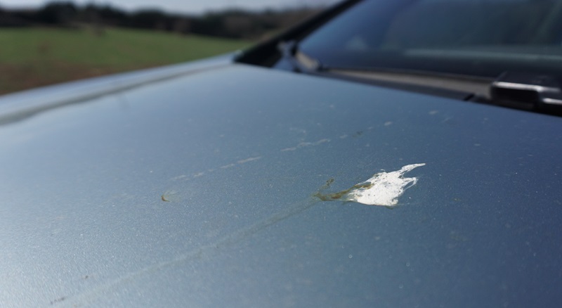 6 factores ambientales que pueden dañar la pintura del coche I | Crom Campus